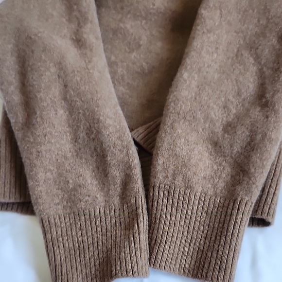 Everlane Brown Crewneck Sweater with Relaxed Fit - Picture 10 of 11